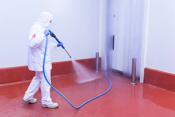 Best Winterizing Services  in Coolidge, AZ
