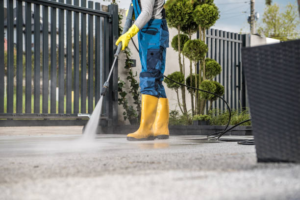 Best Roof Washing  in Coolidge, AZ