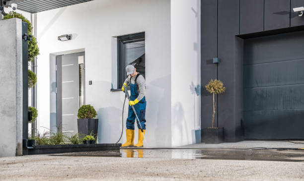 Best Animal Enclosure Cleaning  in Coolidge, AZ